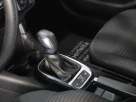 C4 CACTUS FEEL